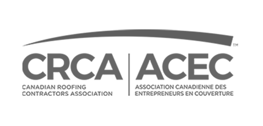 Logo 11